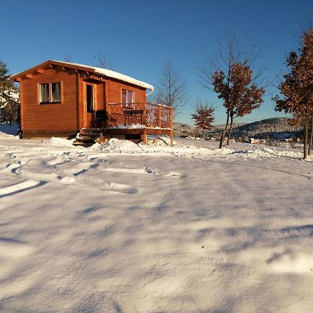 Le Chalet Des Etoiles Champagnac-le-Vieux ภายนอก รูปภาพ