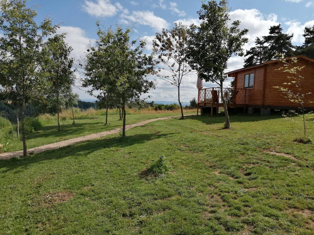 Le Chalet Des Etoiles Champagnac-le-Vieux ภายนอก รูปภาพ
