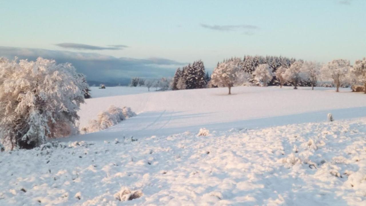 Le Chalet Des Etoiles Champagnac-le-Vieux ภายนอก รูปภาพ